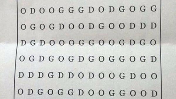 Can you spot the word ‘dog’ in this puzzle? (Photo Courtesy: <a href="http://imgur.com/Yr2tvnI">Jivandabeast</a>)