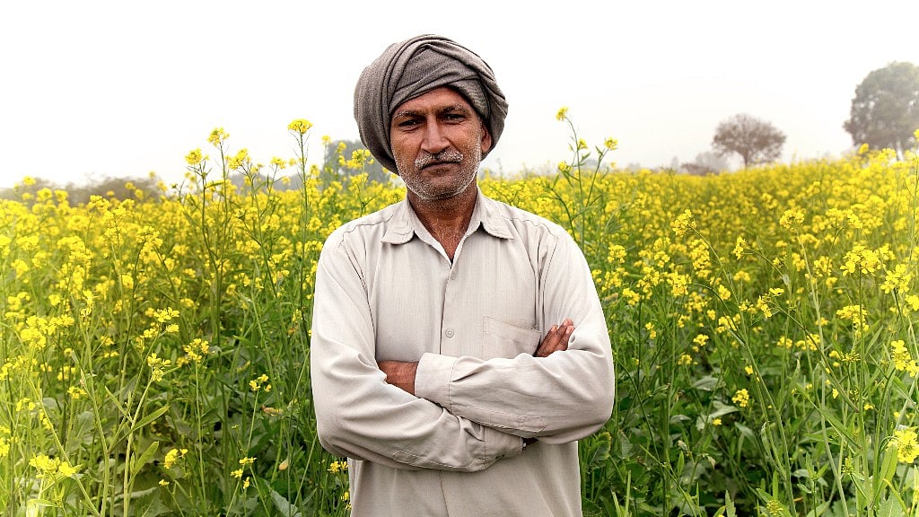 GM crops produce higher yields, but activists are worried it could reduce plant biodiversity. Image for representational purposes. (Photo: iStock)
