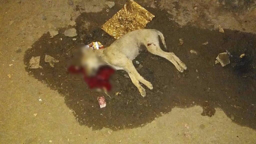 The incident took place on 9 December. (Photo: Facebook/<a href="https://www.facebook.com/moswal">Manoj Oswal</a>)