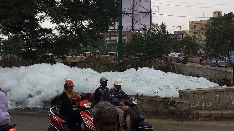 Varthur lake, Bengaluru. (Photo Courtesy: The News Minute)