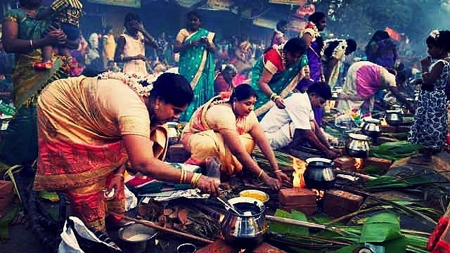 Happy Pongal! (Photo: PTI)