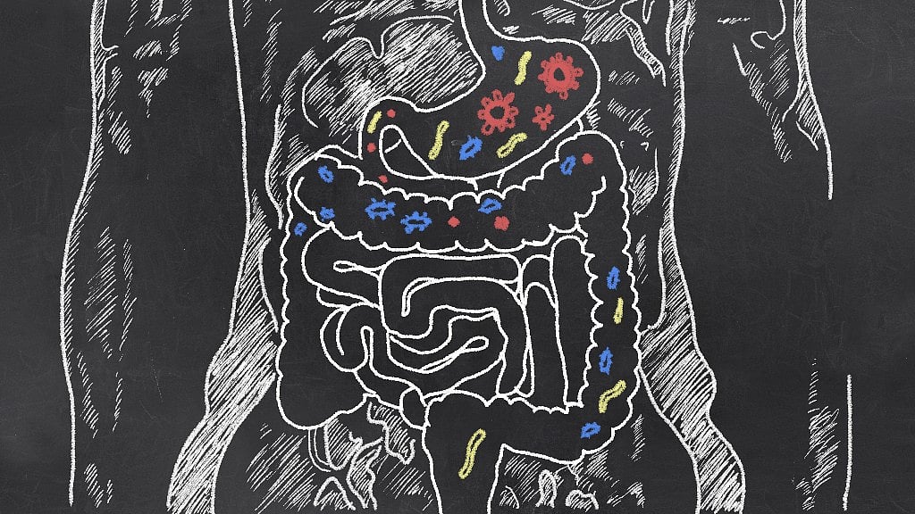 Situs Inversus with Levocardia is extremely rare. 