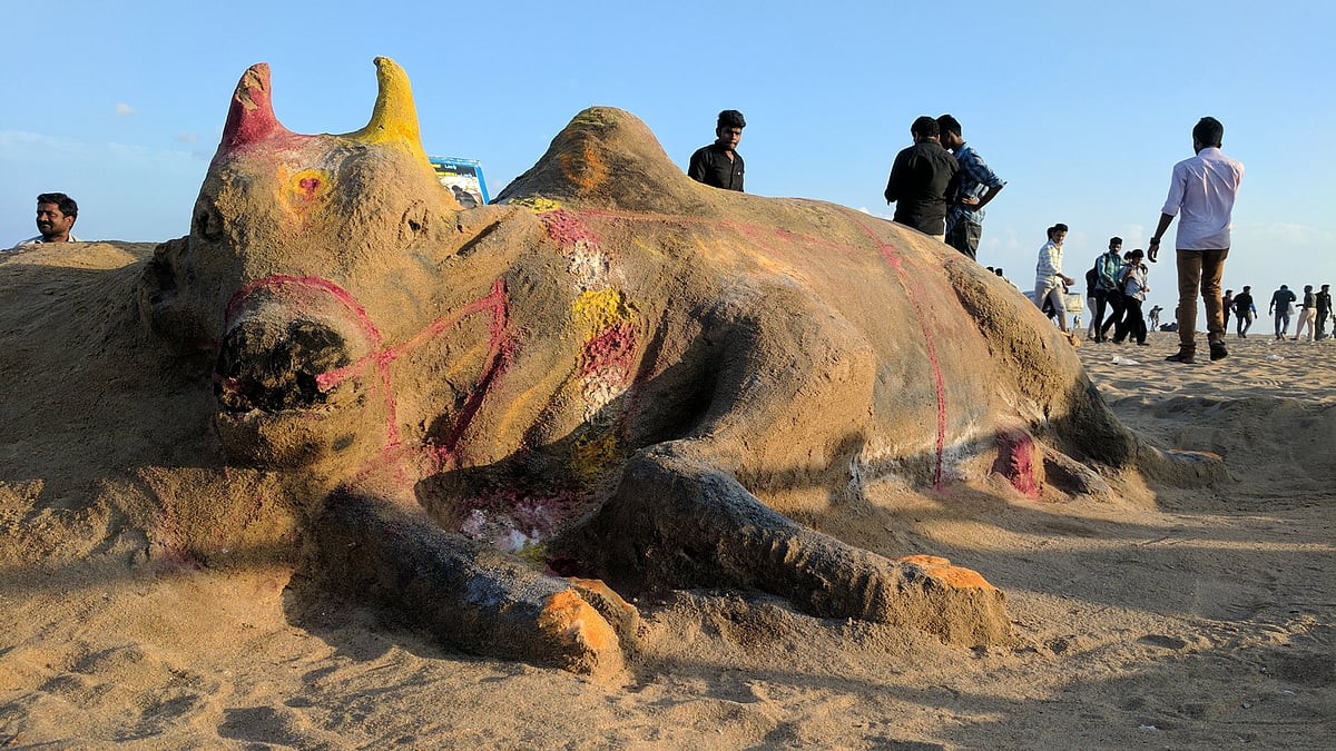 The state wide protests against the ban on Jallikattu is gathering steam. Meet the people who are part of it. (Photo: Vikram Venkateswaran)