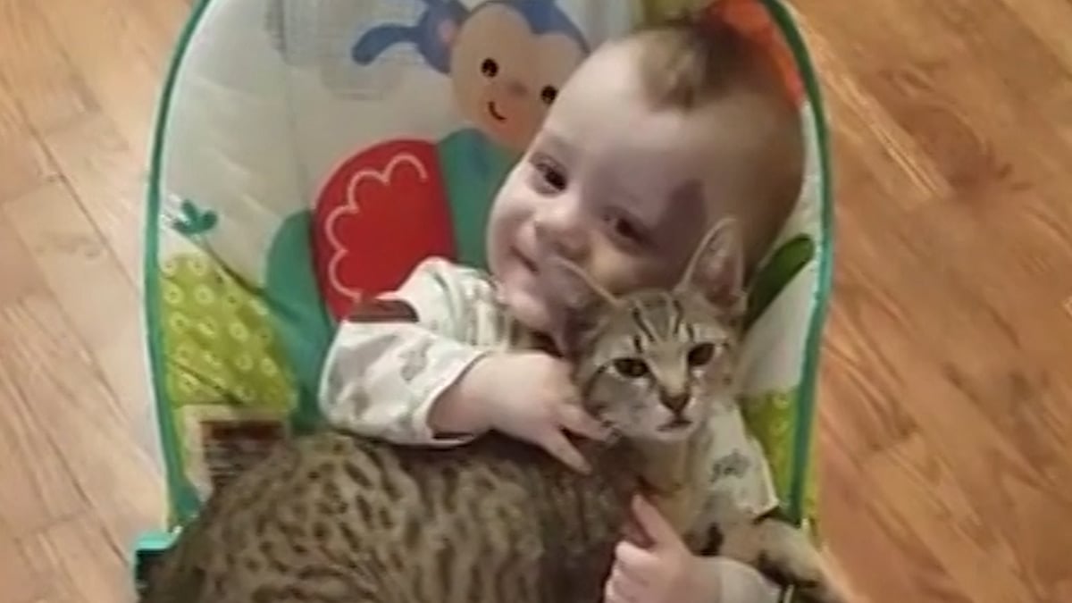 The playmates who can’t let go of each other. (Photo Courtesy: Videograb of Newsflare/AP)