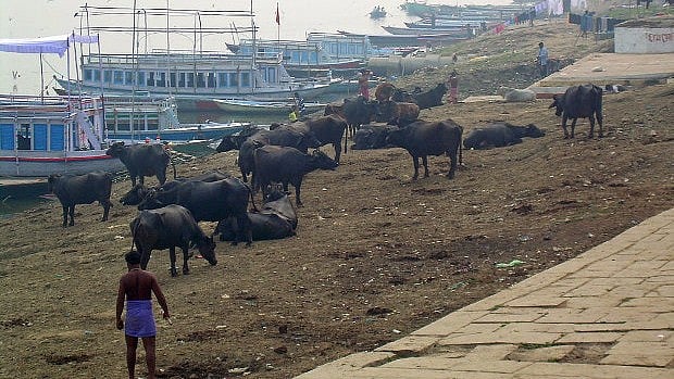 (Photo Courtesy: IndiaSpend/Wikimedia Commons)