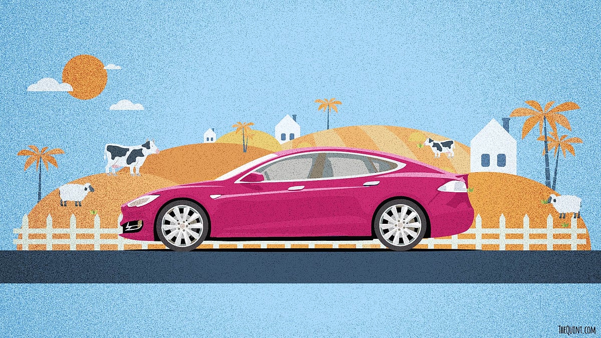 Elon Musk wants to bring Tesla Electric Cars to India this summer. (Graphic:<b> The Quint</b>)