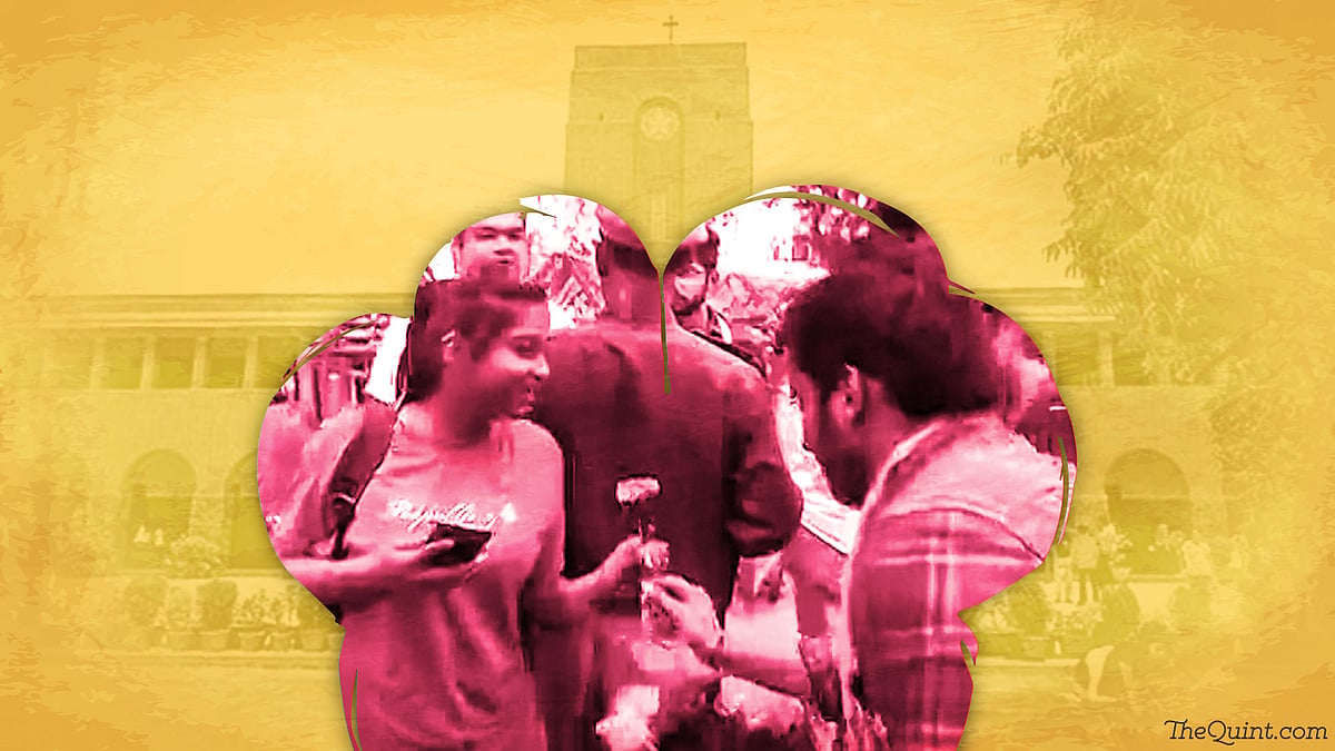 Roses and chocolates distributed at Ramjas college (Photo: The Quint)