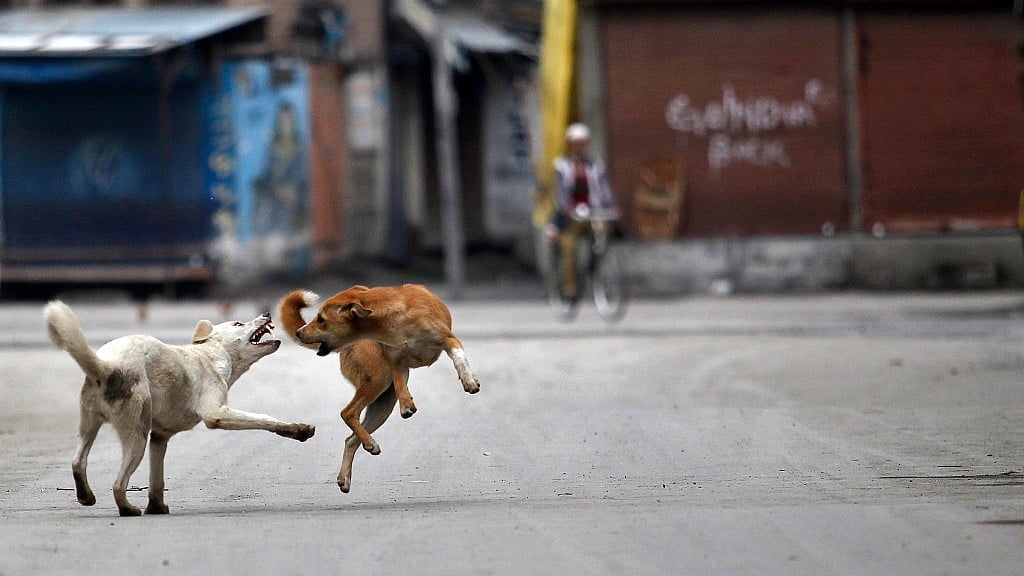 The woman had gone missing on 19 March. (Photo: Reuters)