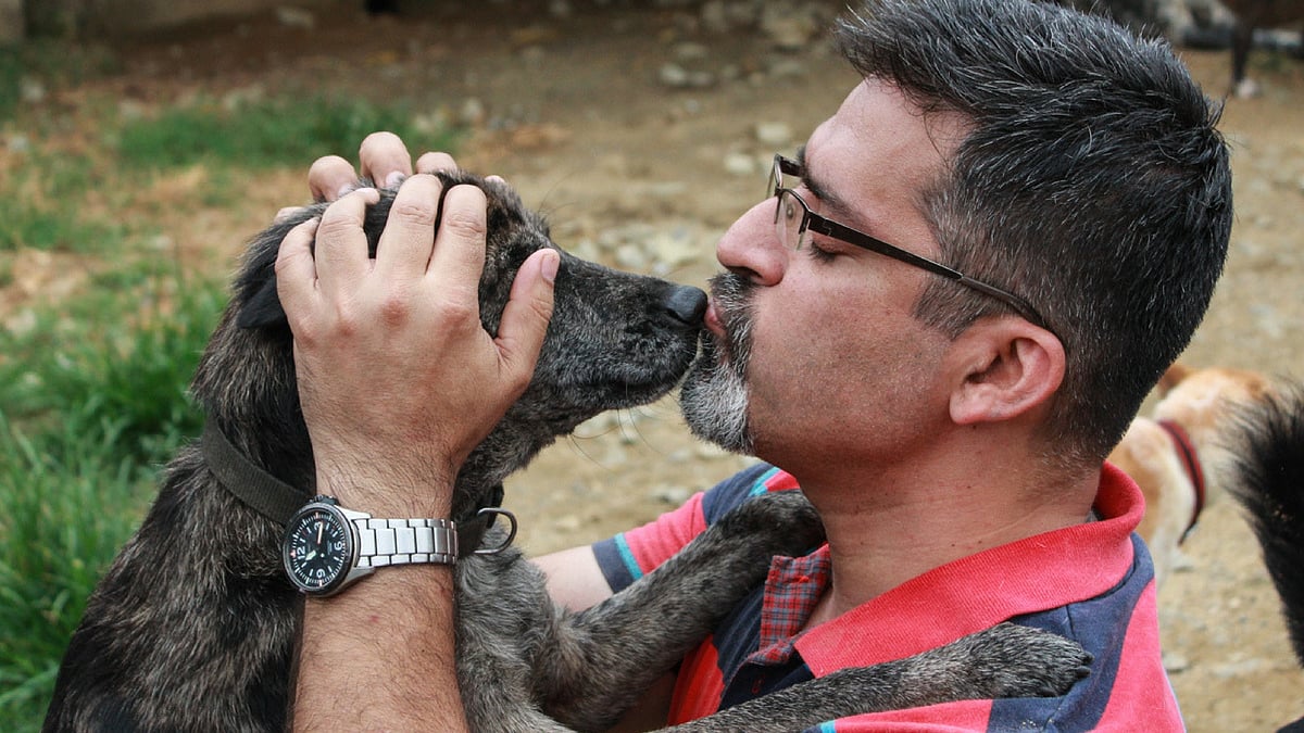 <div class="paragraphs"><p>This man takes care of the ‘patriot dogs’ who have served the country. </p></div>
