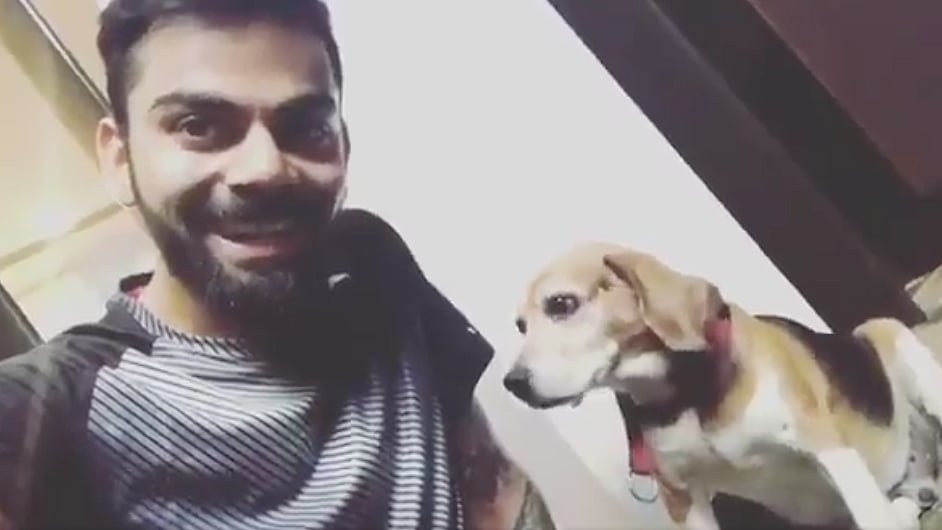 Virat Kohli send an update on his shoulder injury. (Photo: video screengrab)