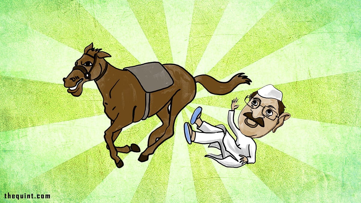 An image of being a disruptor and inability to communicate its achievements have led to AAP’s rout in the MCD elections. (Photo: Susnata Paul/ <b>The Quint</b>)