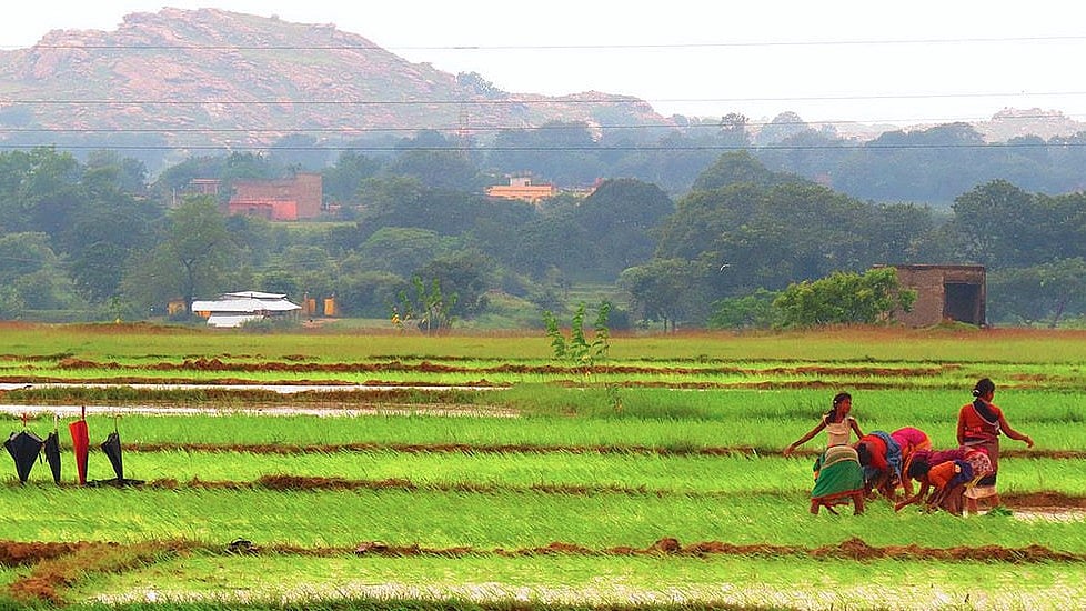 Tribal communities in Jharkhand fear losing their land. (Photo Courtesy: Wasim Raja/<a href="http://www.villagesquare.in/2017/04/03/local-tribes-protest-changes-jharkhand-land-laws/">Village Square</a>)