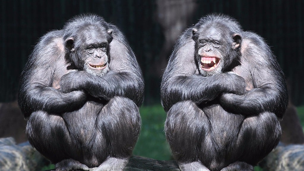 For representational purposes. (Photo: iStock)