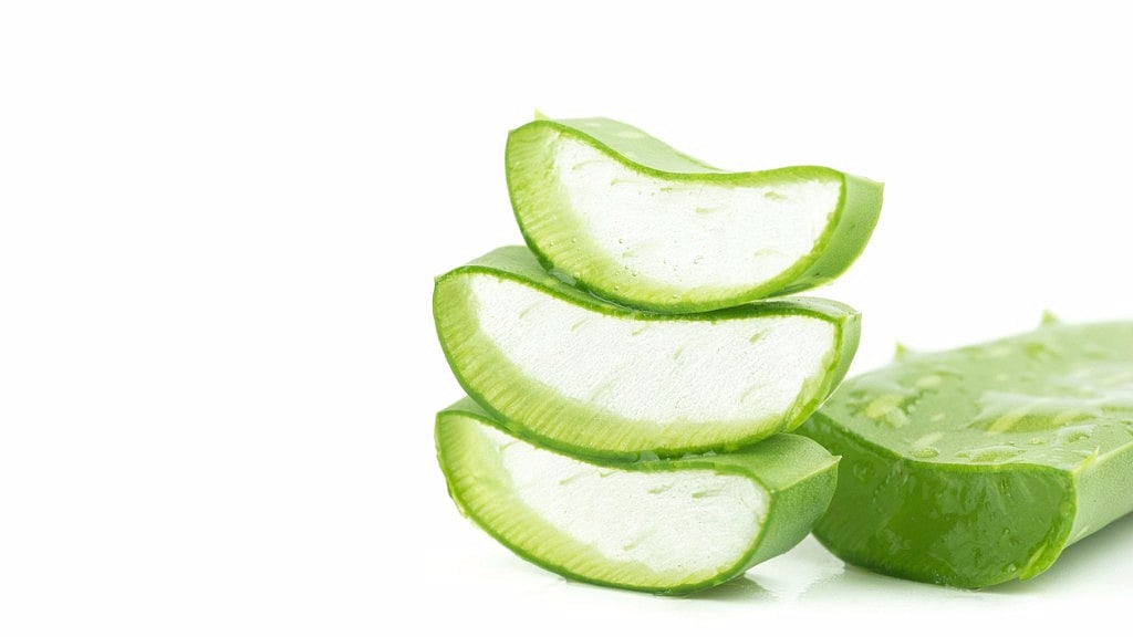 Aloe vera is a storehouse of vitamins, nutrients and minerals. (Photo: iStock)