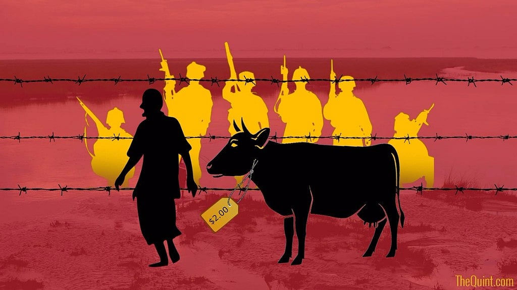 Kerala’s Agriculture Minister VS Sunil Kumar said that the centre’s decision to enact the Prevention of Cruelty to Animals Act was unacceptable. (Photo: Harsh Sahani/ <b>The</b> <b>Quint</b>)