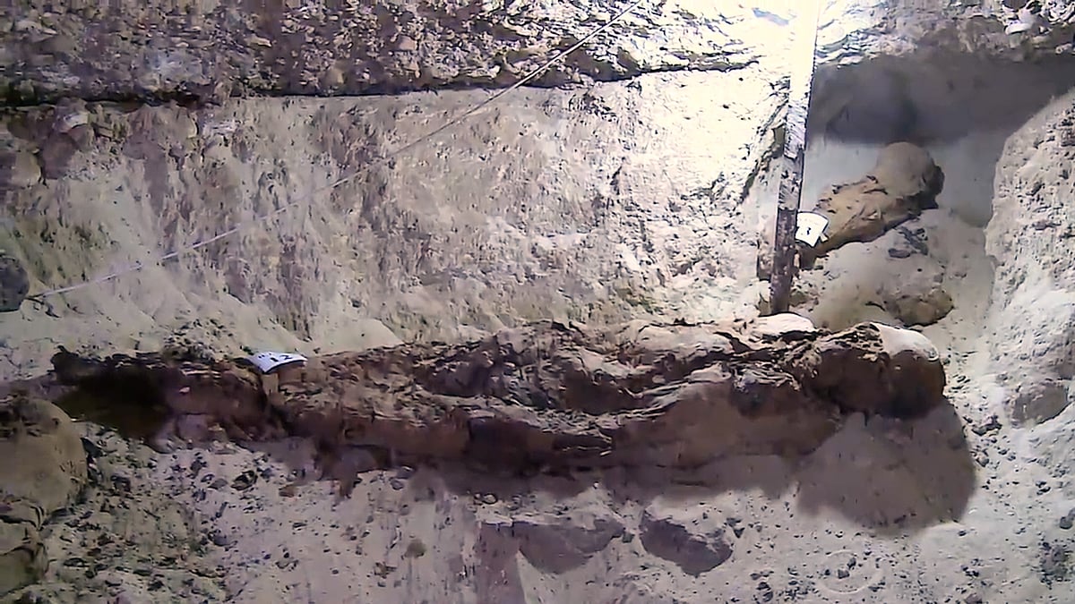 As the dig is still in its primary stages, many more finds are expected to surface in the coming weeks. (Photo: Ruptly TV screengrab)