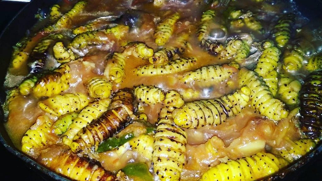 Have you tried silkworm curry yet? (Photo Courtesy: Facebook/<a href="https://www.facebook.com/photo.php?fbid=1311320498888551&amp;set=basw.Abr-hsx2w8X4MII5pt10Jmb3ngKOimvr4vujrmVYj4JO2ixiMswVzWIOeg1rpL4mhFGz4JKwt1ccYOvrN856RdzKh7IocNv8E28cbaO7__0Ic2YGx3CDYYJs7_7VrhINs9AV4sPeygDyF03j-ZrMwUBL.1628828167433759.10151386099058474.1437587506520528.10104900018305998.1079372698775109.1311320498888551&amp;type=1&amp;opaqueCursor=AbqJR7UaGfQlD5d_56suPXeDPmwsSpENA7HZh1ocKJLvuwQqE7D5ZbL7mhIrfbv2aUCLRiKbliqQ8FeW0Zg4iFoyC32ObkyBFlkM3o4byg0zQ3lUpMAIfIBElu2zOLwe6a25jlXZ-tC6TzzTd7W9y3o9oz-_tuksAle2RRZHUPmUhO42Lg3jFP6Q5qCsWssNFGfJjKYhna-Dllak19ja1COl9b8j3nZtudIJr-u7qF5DXhb23Tge0mMnEHkA5dK316Sl3owgr98gTdX853HjVbps8G1YMNTG6pzrgYAXbD9l8NTUBa9AUqAHtghh8u6hxyvTQtLOj7mnVMOjo2heGM27OG0bmR7iUy0qB6u9TH5giRxANvP8Jk80DnX3LJgN8jc0a7tMkBHPn3ggbyvrE5fCsLf5_h6ld1WcgvOIMv8Zy-F9KYDAD7CyPQS2WfnaQqmsZNi6jFCVb8O1HqPVbT3a0Nu4JAGBbIkwdRchTmdeyw&amp;theater">DikShita Das</a>)