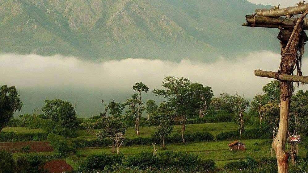 Weekend Getaways Near Bengaluru: A view from a hill near Kemmangundi near Chikmagalur in Karnataka. 