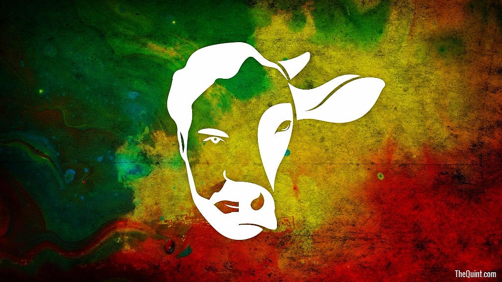 Modi broke his silence on the lynchings of Muslims by gau rakshaks on Thursday.&nbsp;