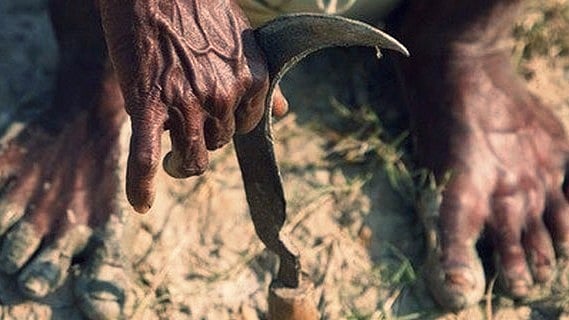 Another farmer has committed suicide in Maharashtra this month. (Photo: Reuters)