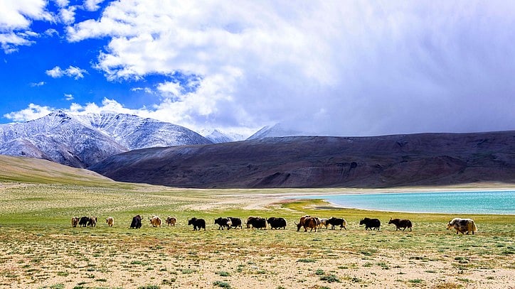 

As Buddhists, these communities embrace the value of respecting nature and caring for other living beings. (Photo Courtesy: iStock)