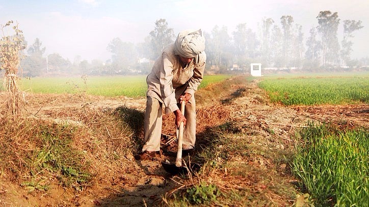 Of all rural households in Sindh, 71% are landless, the highest amongst all the provinces. Image used for representation. (Photo Courtesy: iStock)