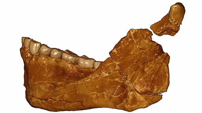 (Photo Courtesy: Jean-Jacques Hublin/Max Plank Institute for Evolutionary Anthropology, Leipzig)