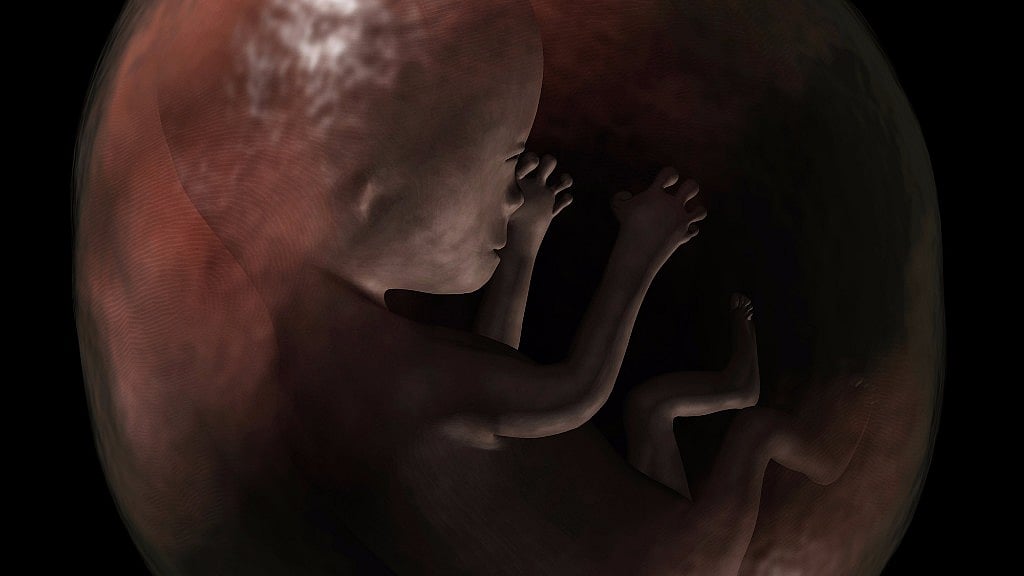 A representational image of a foetus.