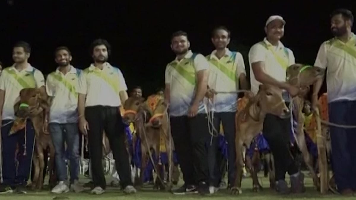 In this cricket match organised by the pastoral tribe of Rabaris, the winning team gets ‘cow’ as a trophy. (Photo: ANI screengrab)