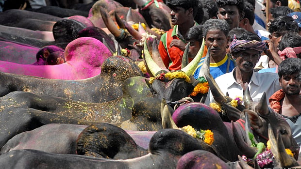(Photo Courtesy: Reuters/Babu)