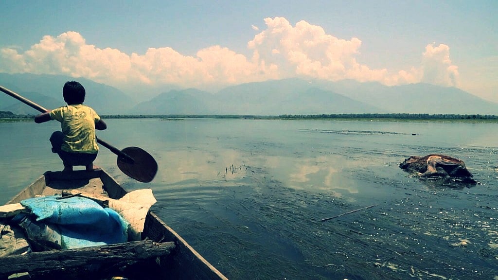 The Wular lake has turned into a saviour for Billa.&nbsp;