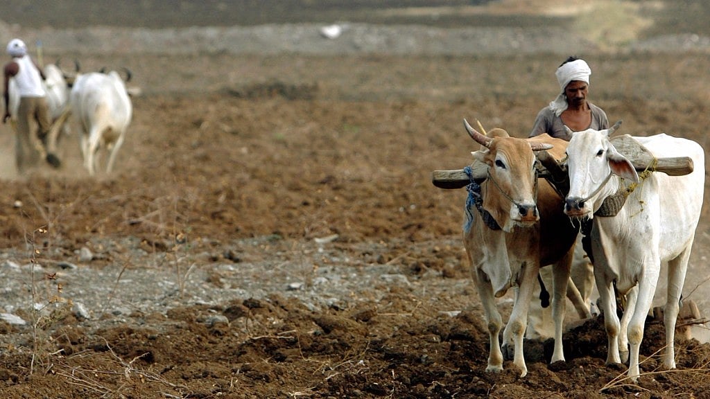 Farmers have also written to Maharashtra Chief Minister Devendra Fadnavis, seeking his intervention.