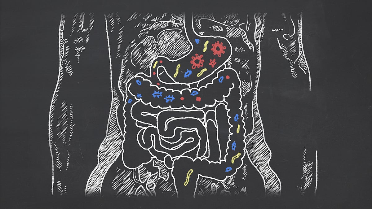 Your gut controls 75% of your immunity. Take care of it!&nbsp;   