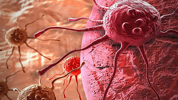 CLL, a disease of the immune system, is the most common form of leukemia.