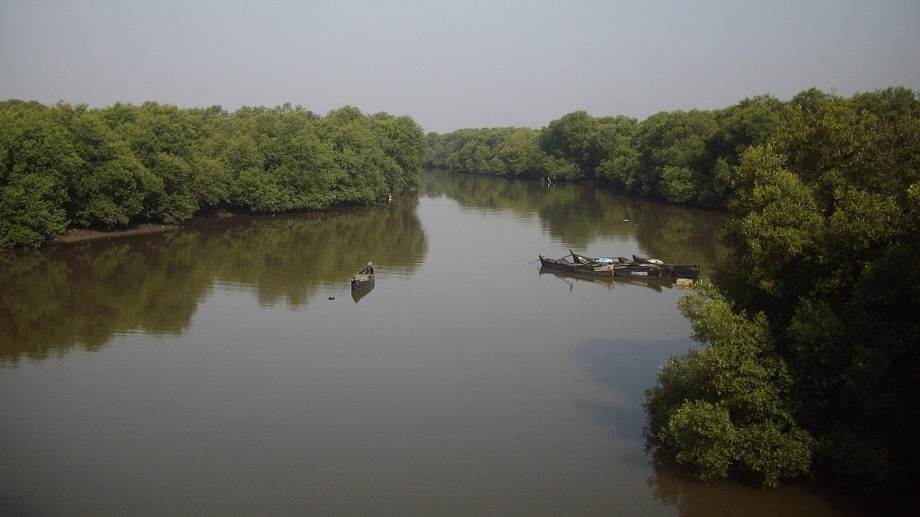 Vashi Creek. 
