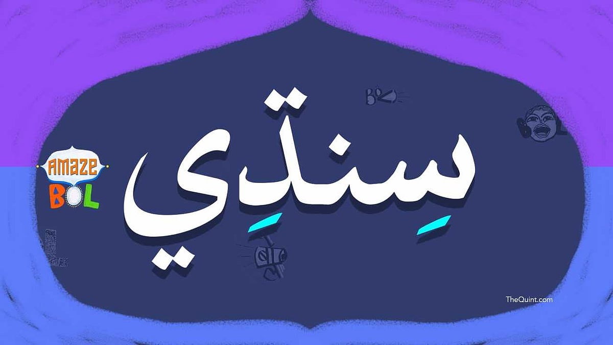 Sindhi, staying true to the community’s multiculturalism, is an eclectic blend of Arabic, Devanagari, Landa, Khudabadi and Gurmukhi scripts.
