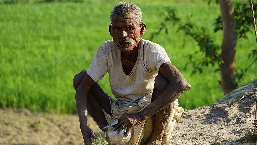 The farmers in Maheshwar panchayat in Aurai block have given up on potato, sweet potato and corn farming because of wild boar attacks
