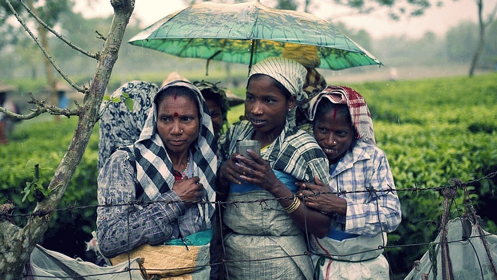 The tea tribes in Assam. 