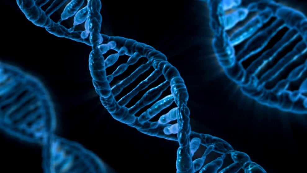 The answer to how long you will live lies with your DNA.<br>