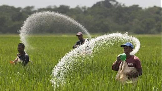 (Photo Courtesy: Twitter/<a href="https://twitter.com/gnfcneemproject/media">@GNFCNeemProject</a>)