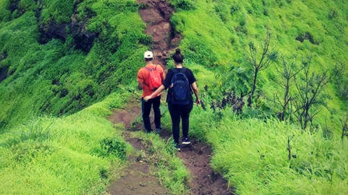 Mapping out my Sunday treks, therefore, have often been a solitary pursuit, but I’ve enjoyed it.