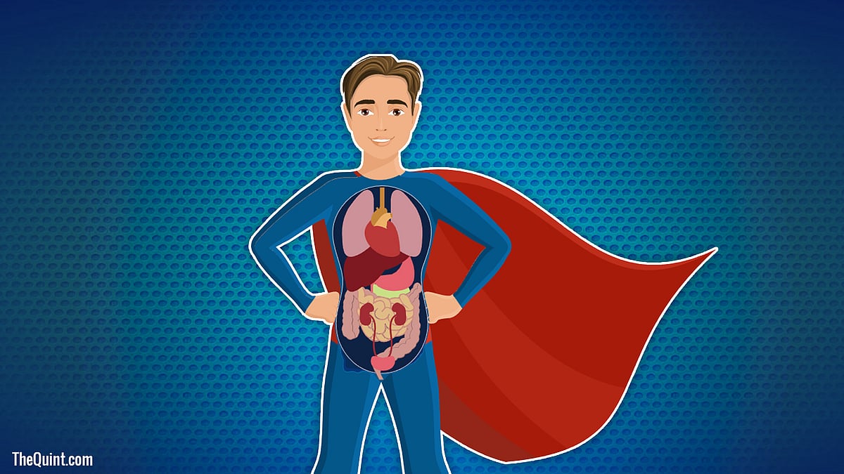 

One organ donor can save up to 8 lives with <a href="https://www.thequint.com/topic/organ-donation">organ donation</a> and heal up to 50 lives with tissue donation.