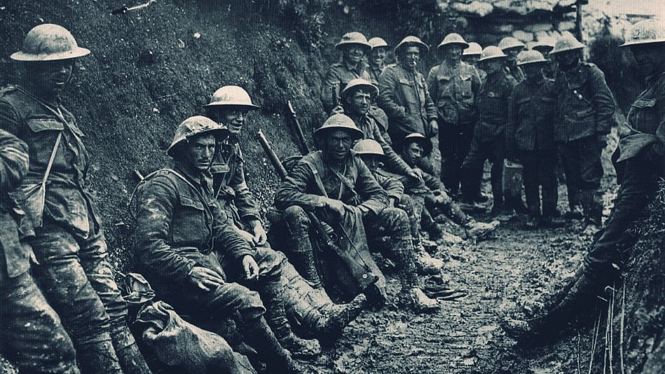 Why the war prompted a surge of popular interest in insects. (Photo Courtesy: Wikimedia Commons)