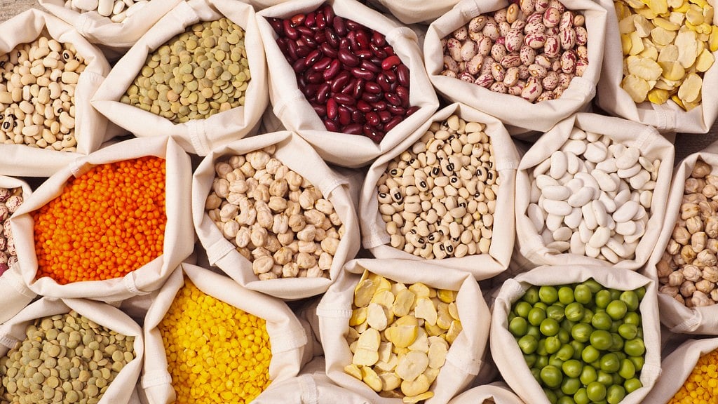 Legumes are a rich source of fibre. 
