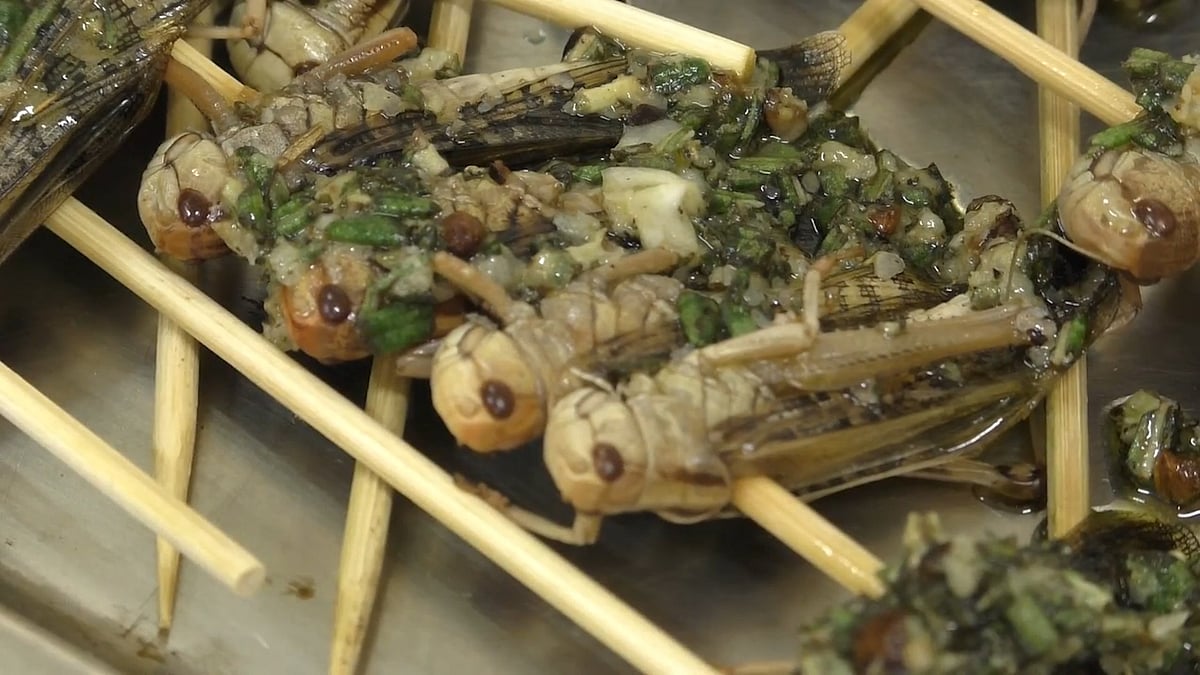 The restaurant serves a four-course meal... of insect dishes. 