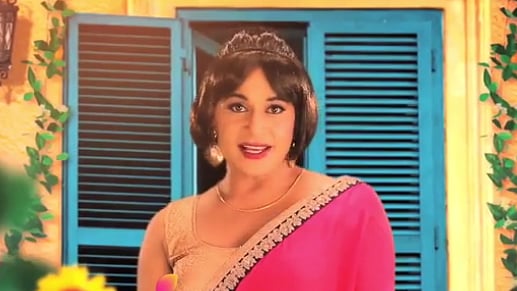 Pinky Padosan in <i>Bigg Boss 11 </i>promo video.&nbsp;