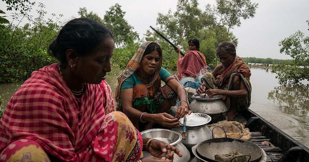 Climate Change Pushes Sundarbans ‘Tiger Widows’ to Jaws of Poverty
