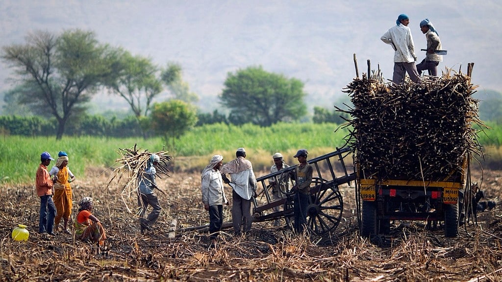 Image used for representational purpose.