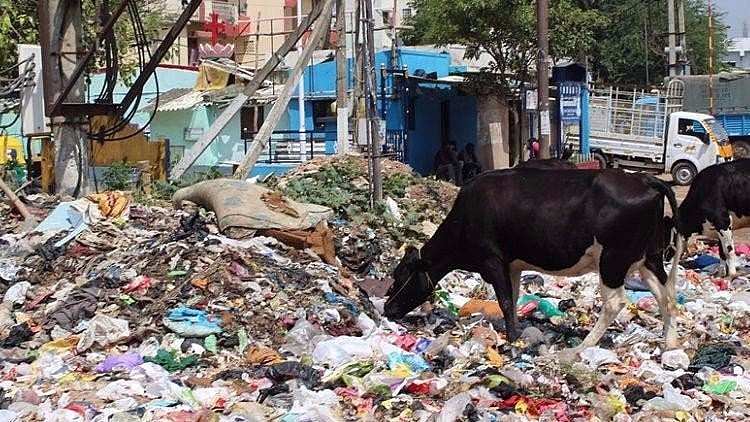  Educate people; make pollution control a mandatory subject in schools and universities.