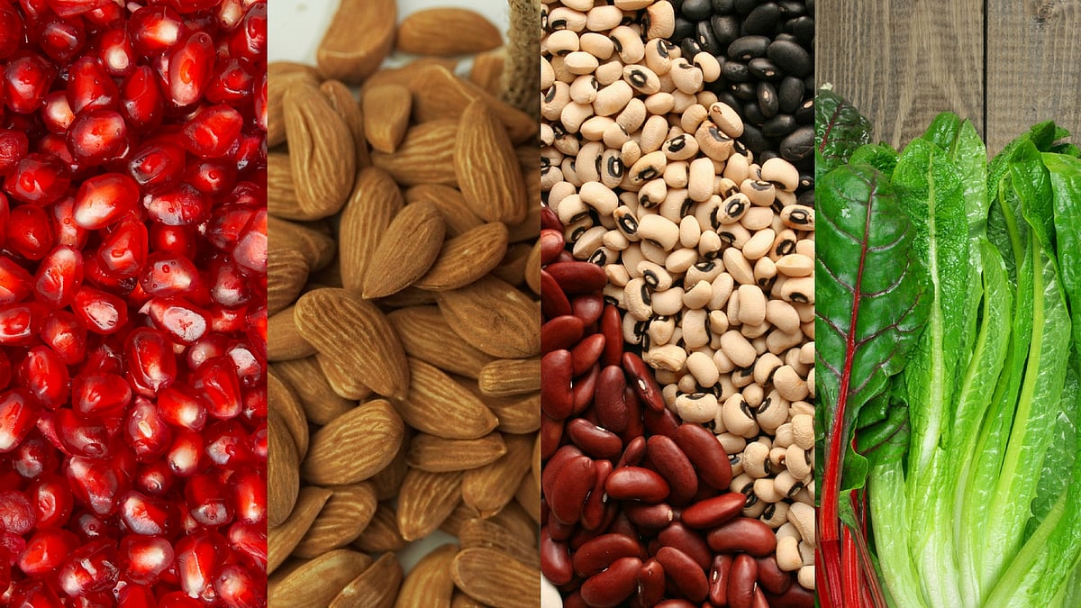 <div class="paragraphs"><p>List of foods that increase the&nbsp;Haemoglobin levels in the body.</p></div>